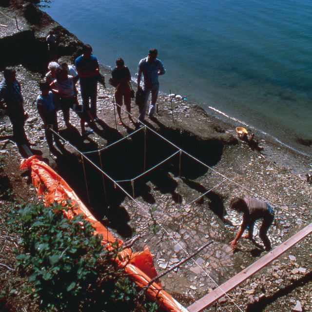 A fossil excavation site