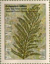 Stamp featuring Archaeopteris