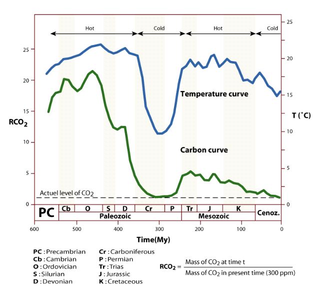 Atmospheric carbon curve
