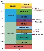 Massive extinctions