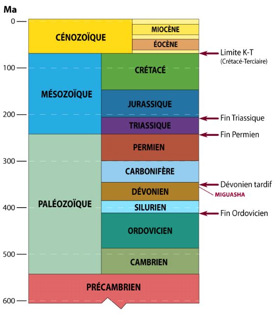 Les grandes extinctions