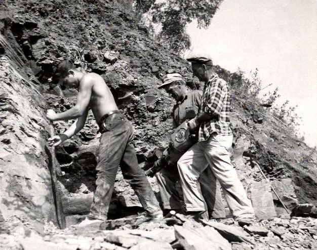 A fossil dig in 1964