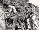 A fossil dig in 1964