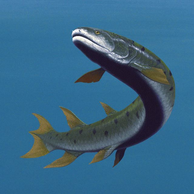 Reconstruction of Eusthenopteron foordi