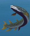 Reconstruction of Eusthenopteron foordi Reconstruction of Eusthenopteron foordi