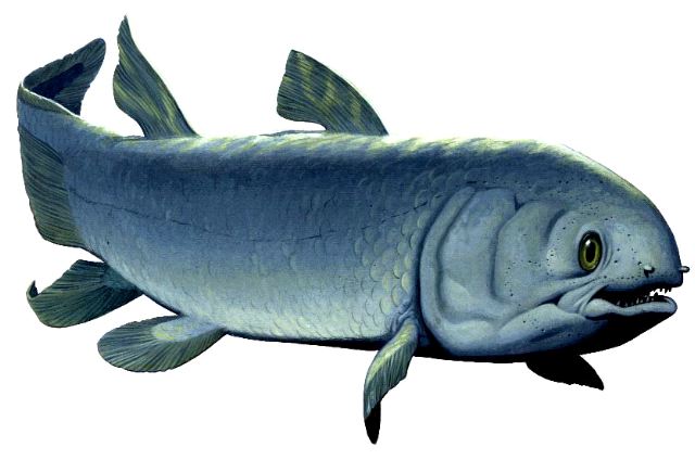 Reconstruction of Miguashaia bureaui