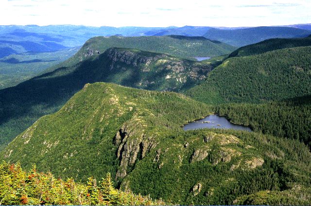 Miguasha: The Gaspé Peninsula: A world of oceans and mountains