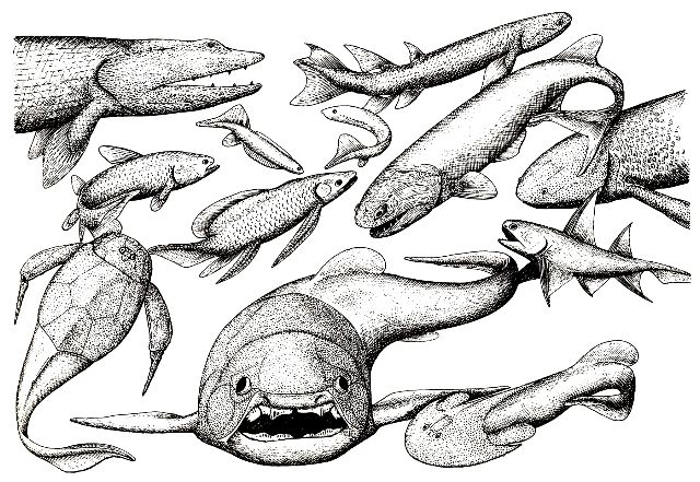 The fish fauna of Miguasha