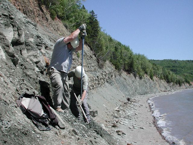 Fossil digging in 2005